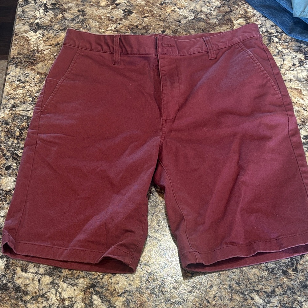 Men's Burgundy Casual Shorts